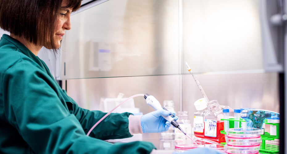 A young woman, with a short, bob, undertakes careful laboratory work in a sterile environment