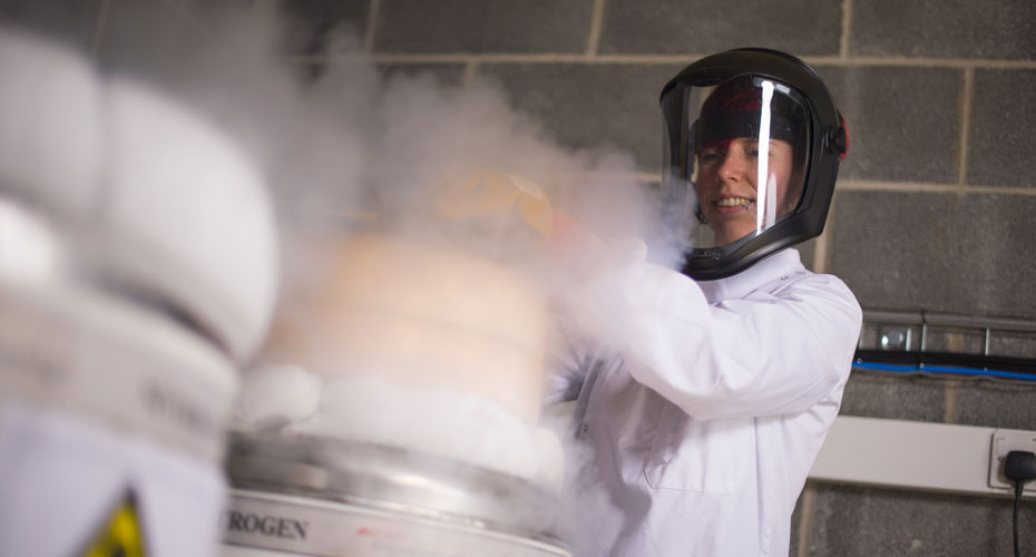 RILD liquid nitrogen