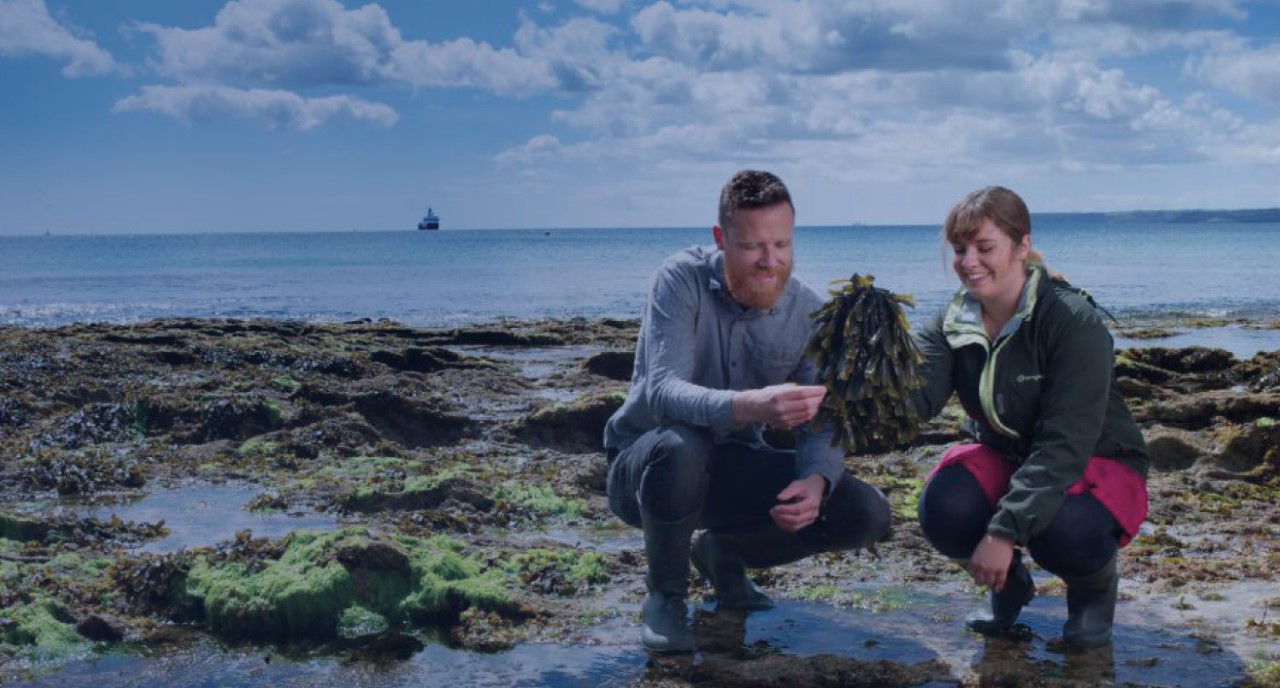 Researchers at the beach