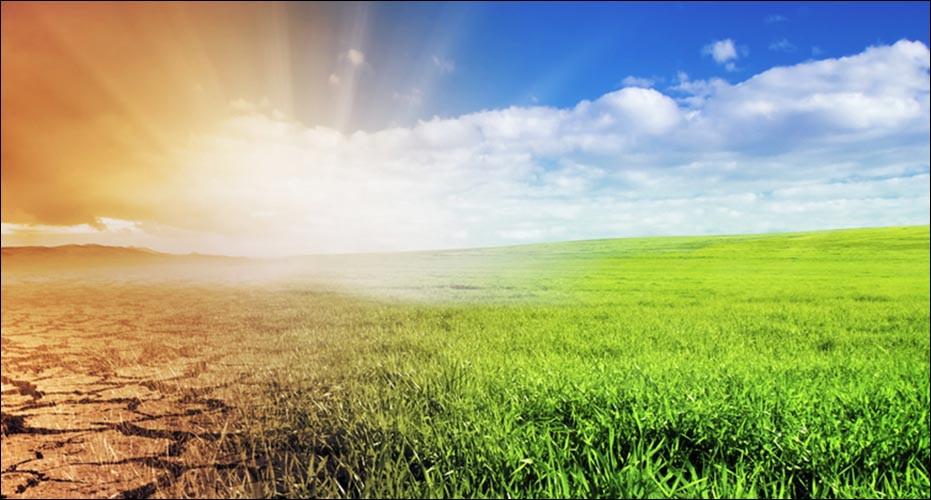 Sun over grass and dry ground