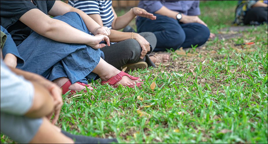 CPD course - group sitting on the grass