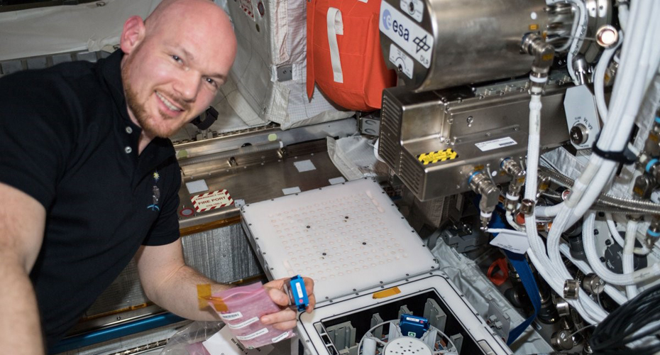 A researcher conducting an experiment in a spacecraft